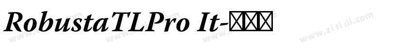 RobustaTLPro It字体转换